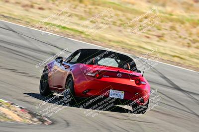 media/Mar-23-2025-West Coast Racing (Sun) [[de161b708f]]/Blue Group/Session 3 (Turns 3 and 5)/